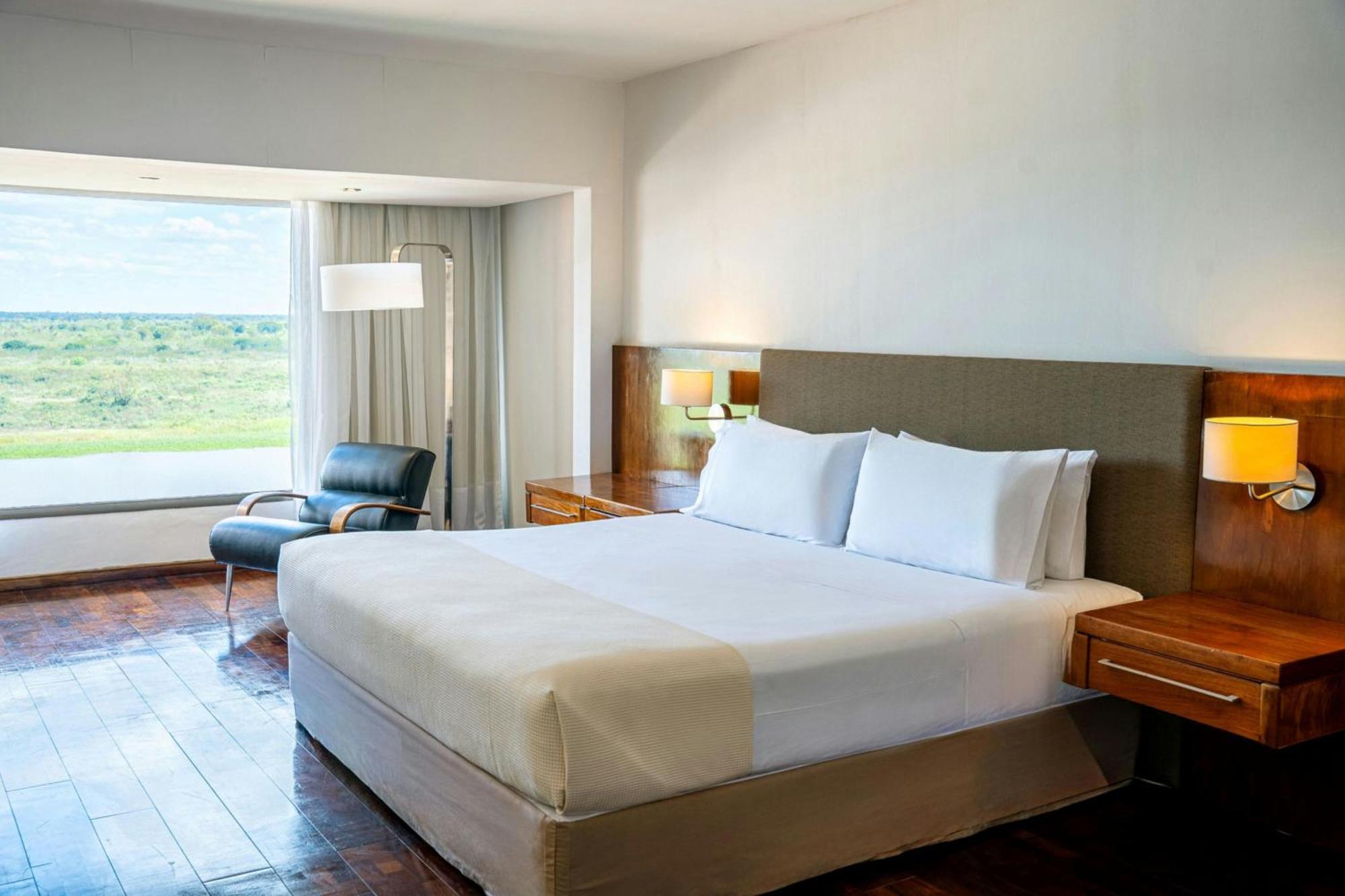 Deluxe King Room with Garden View